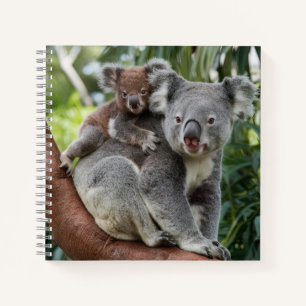 Mother and Baby Koala Bear Notebook
