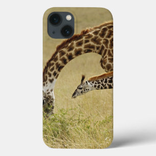 Mother and baby Masai Giraffe, Giraffa iPhone 13 Case
