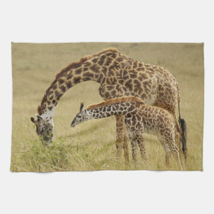 Mother and baby Masai Giraffe, Giraffa Kitchen Towel