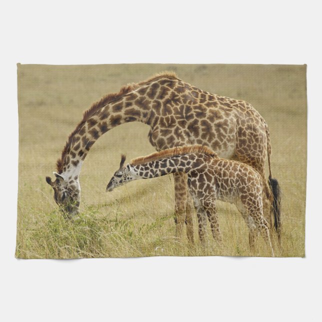 Mother and baby Masai Giraffe, Giraffa Kitchen Towel (Horizontal)
