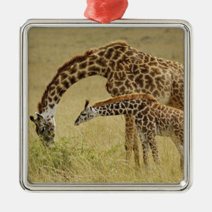 Mother and baby Masai Giraffe, Giraffa Metal Ornament