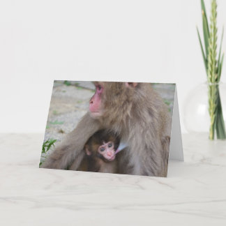 Mother And Baby Monkey Mother's Day Card