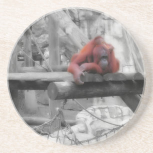 Mother and Baby Orangutan Coaster