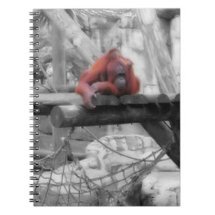 Mother and Baby Orangutan Notebook