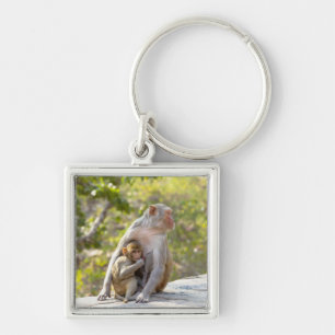 Mother and baby Rhesus Macaque monkeys on wall Keychain