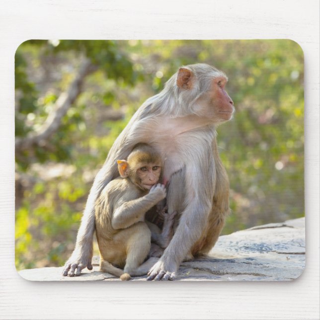 Mother and baby Rhesus Macaque monkeys on wall Mouse Pad (Front)