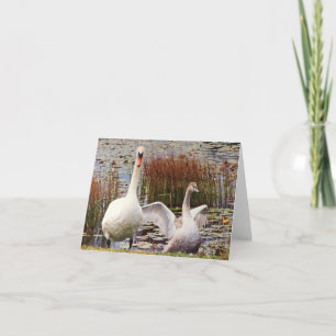 Mother and Baby Swan Blank Inside Notecard