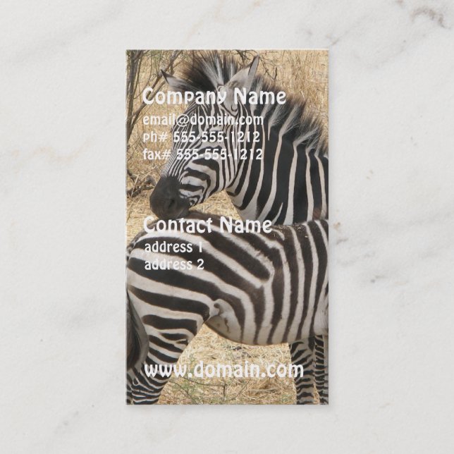 Mother and Baby Zebra Business Cards (Front)