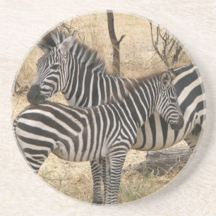 Mother and Baby Zebra Coaster