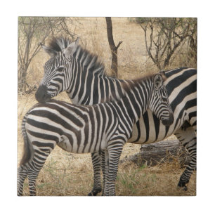 Mother and Baby Zebra Tile