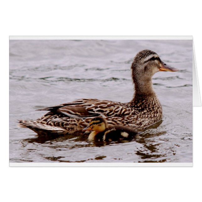 mother and duckling (Front Horizontal)