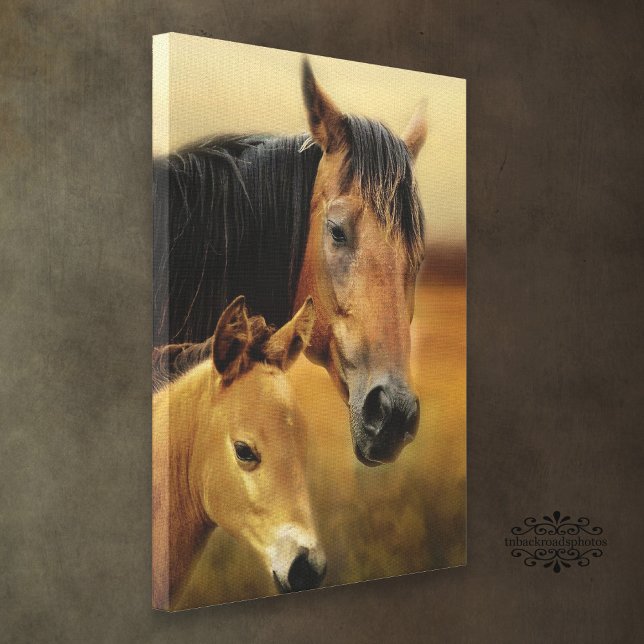 Mother and Foal Canvas Print (Creator Uploaded)
