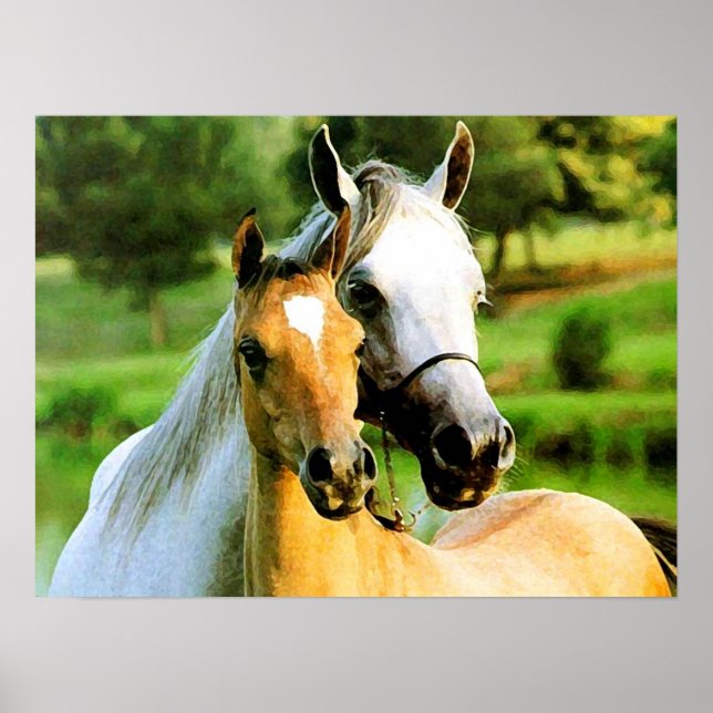 Mother and Foal Poster (Front)