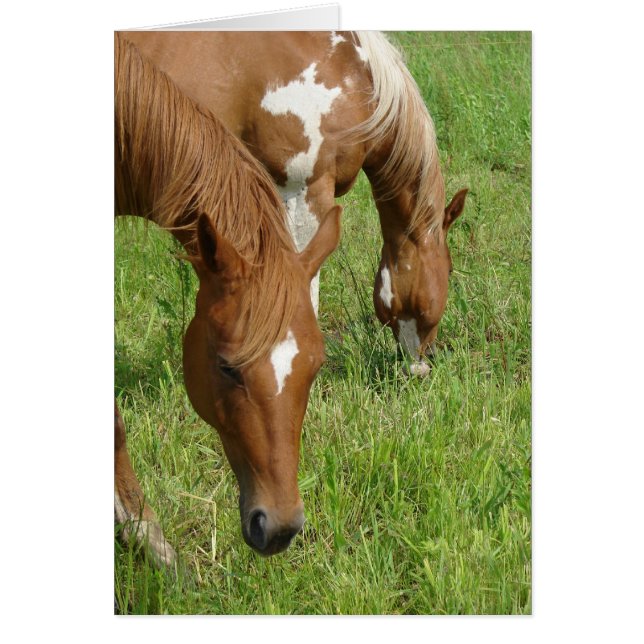 Mother and Son, Horses Grazing (Front)