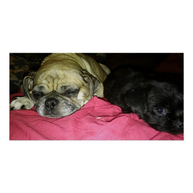 Mother and Son Poster