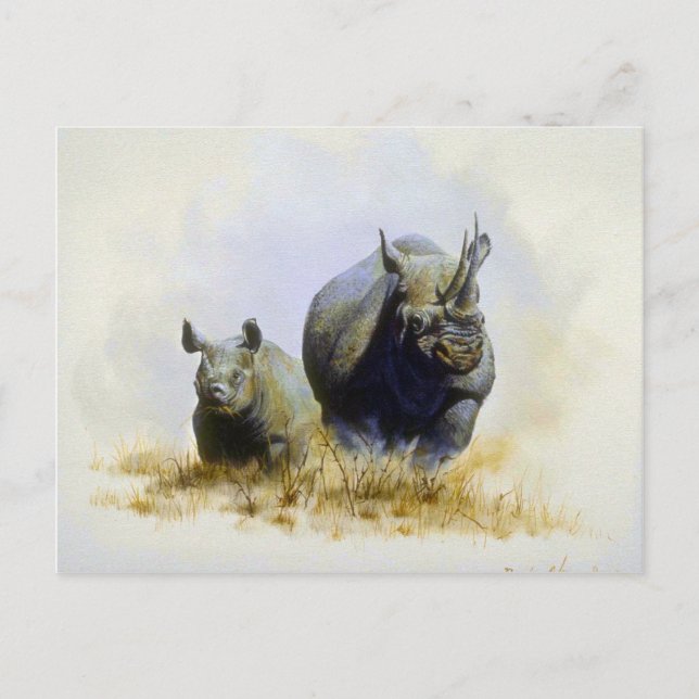 Mother and son, Rhinoceros Postcard (Front)
