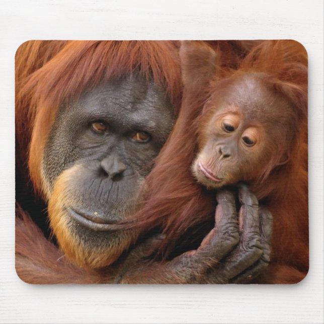 Mother & Baby Orangutan Mouse Pad (Front)