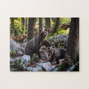 Mother Bear And Cub Slovenia Jigsaw Puzzle