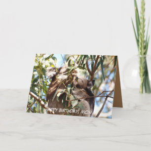 Mother Birthday card featuring Koala joey