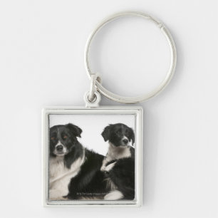 Mother border collie and puppy keychain