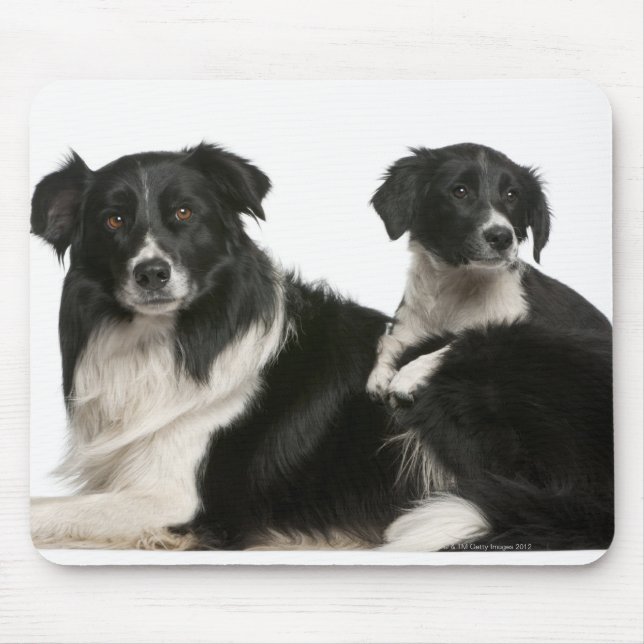 Mother border collie and puppy mouse pad (Front)