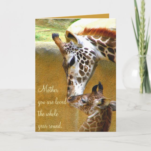 Mother_Card Card (Front)