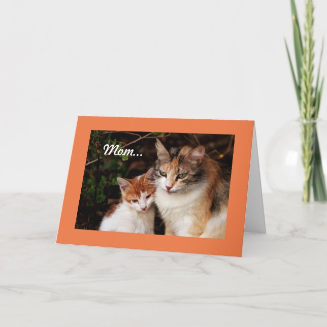 Mother Cat And Kitten Card (Front)