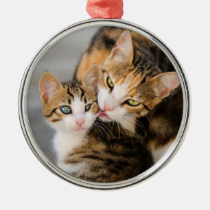 Mother Cat Loves Cute Kitten Photo - Metal Ornament