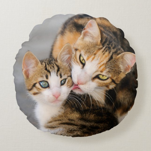 Mother Cat Loves Cute Kitten smooth Round Pillow (Front)