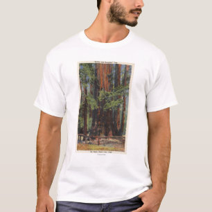 "Mother" & "Daughter" at Big Trees Park T-Shirt