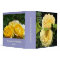 Mother & Daughters Recipe Book! Yellow Rose Binder