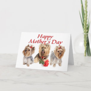 Mother  Day Yorkies Card