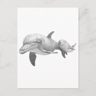 MOTHER DOLPHINS LOVE POSTCARD