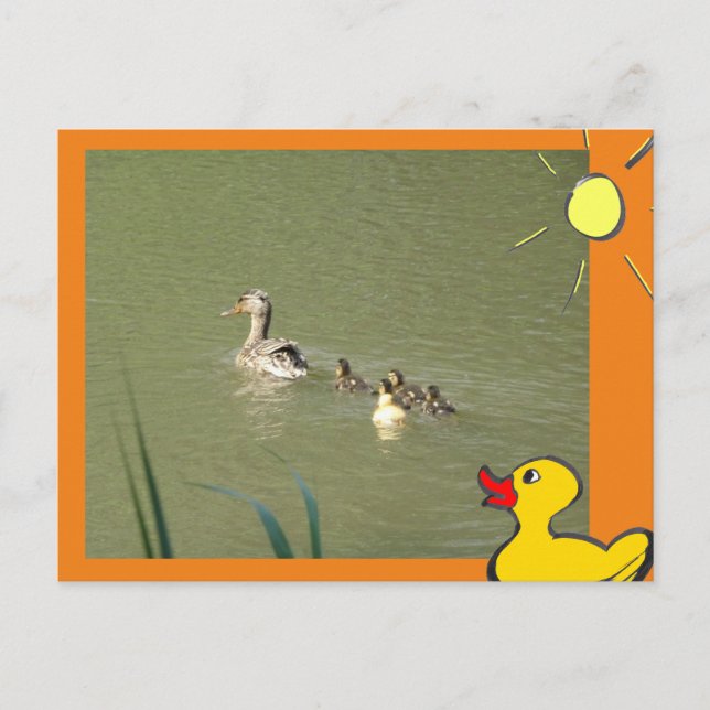 Mother Duck with Young & Cartoons DIY Postcard (Front)