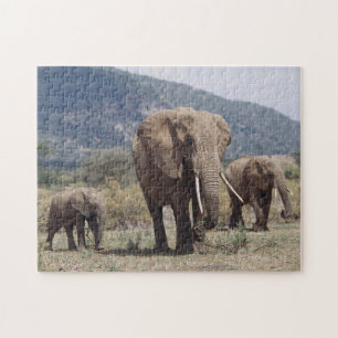 Mother elephant walking with elephant calf jigsaw puzzle