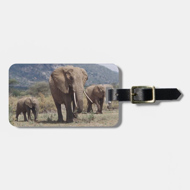 Mother elephant walking with elephant calf luggage tag (Front Horizontal)