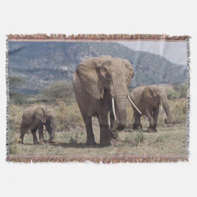 Mother elephant walking with elephant calf throw blanket (Front)