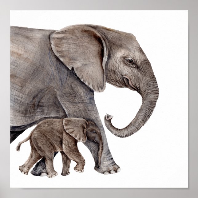 Mother Elephant with Baby Elephant Poster (Front)