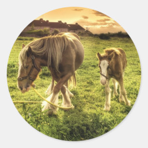Mother & Foal Horse Classic Round Sticker