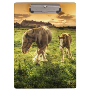 Mother & Foal Horse Clipboard