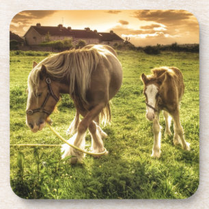 Mother & Foal Horse Coaster