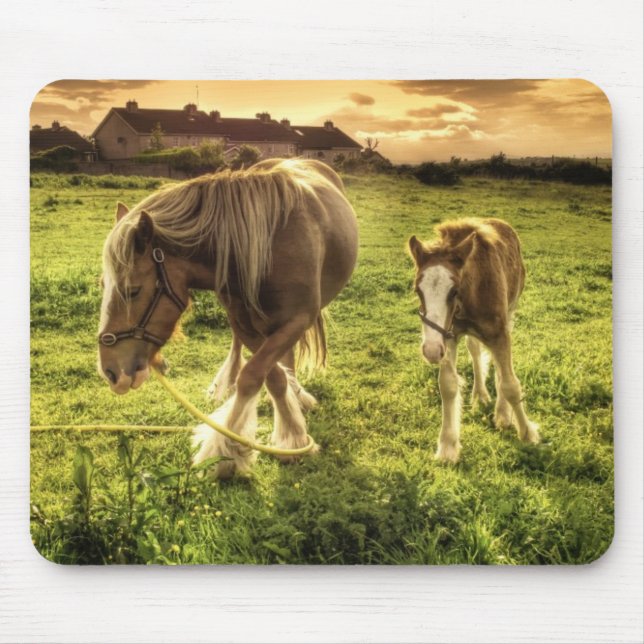 Mother & Foal Horse Mouse Pad (Front)