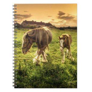 Mother & Foal Horse Notebook