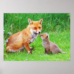 Mother fox and cub poster