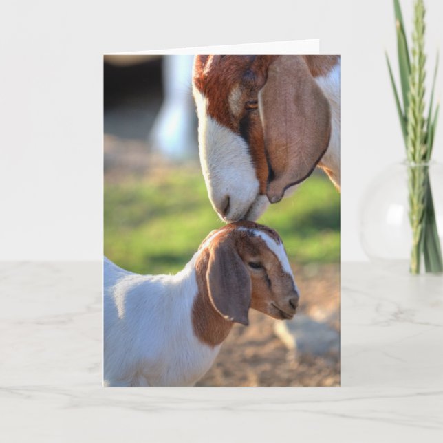 Mother Goat & Baby Card (Front)