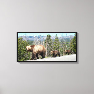 Mother Grizzly, Cubs in Yellowstone National Park Canvas Print