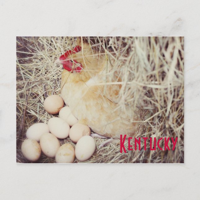 Mother Hen by JerseyFawn Postcard (Front)