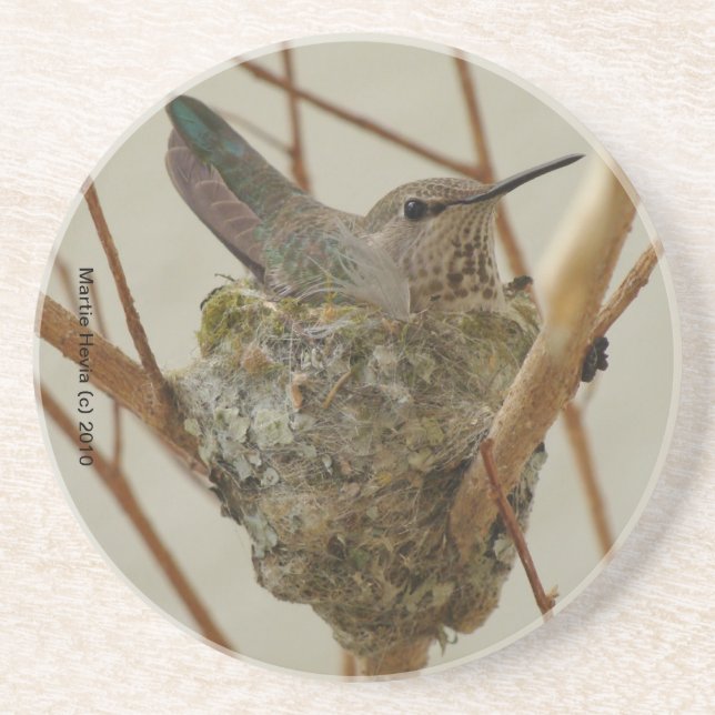 Mother Hummingbird Coaster (Front)