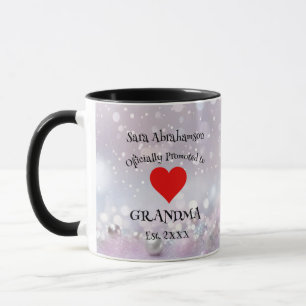Mother-In-Law Funny Mug