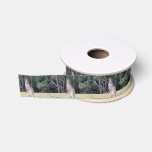 Mother Kangaroo with Baby Joey in Her Pouch Grosgrain Ribbon